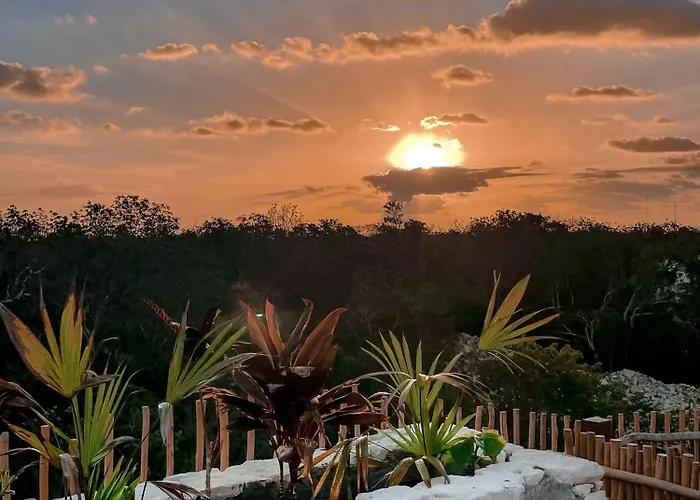 Jungle Boho Designer 11 W50 Off Access Bardo Apartamento Tulum