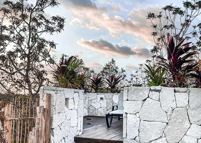 Apartamento Jungle Boho Designer 11 W50 Off Access Bardo